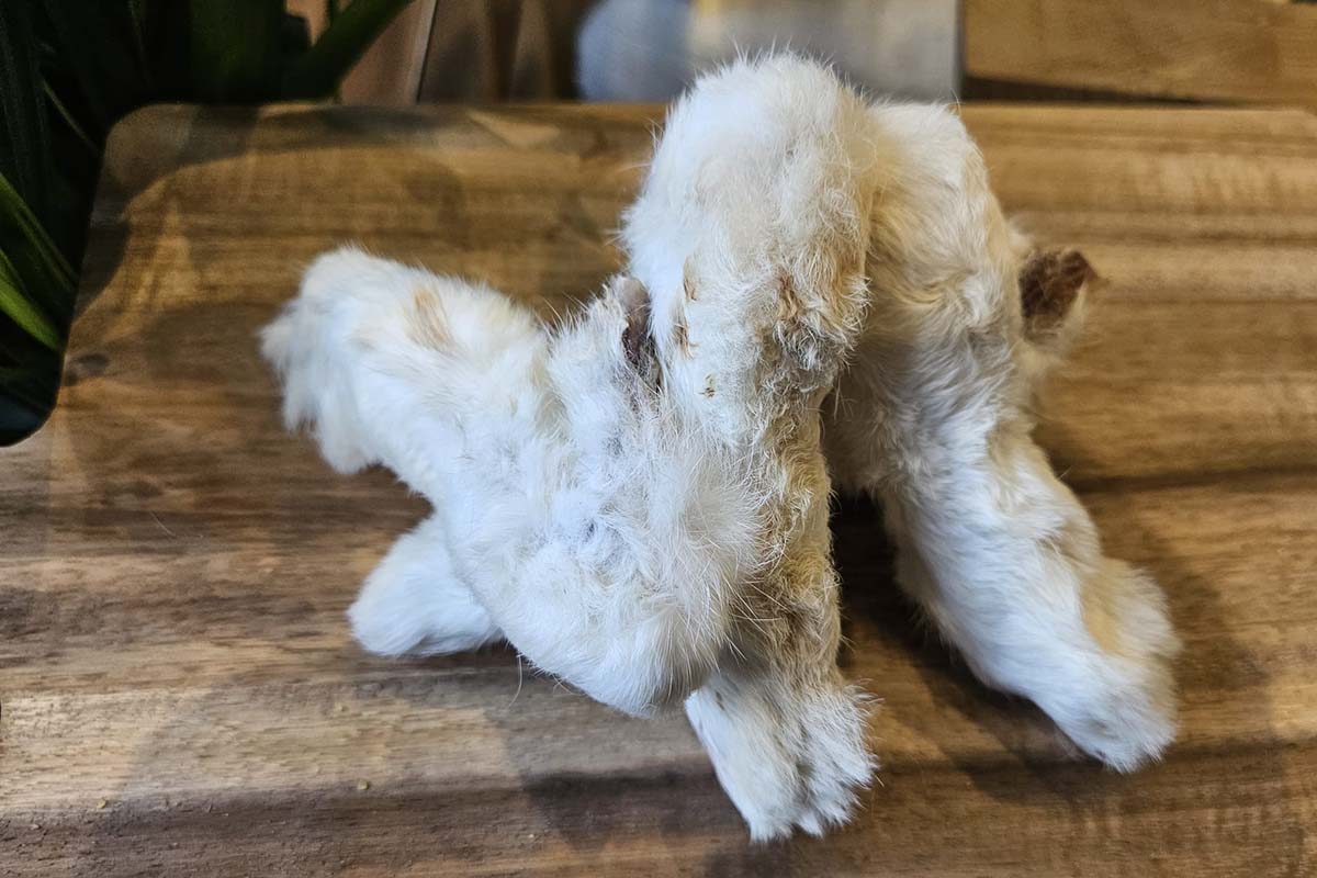 rabbit feet for dogs, natural dog chews, hypoallergenic dog treats, low fat dog chews, dental chews for dogs, grain free dog treats, novel protein dog chews