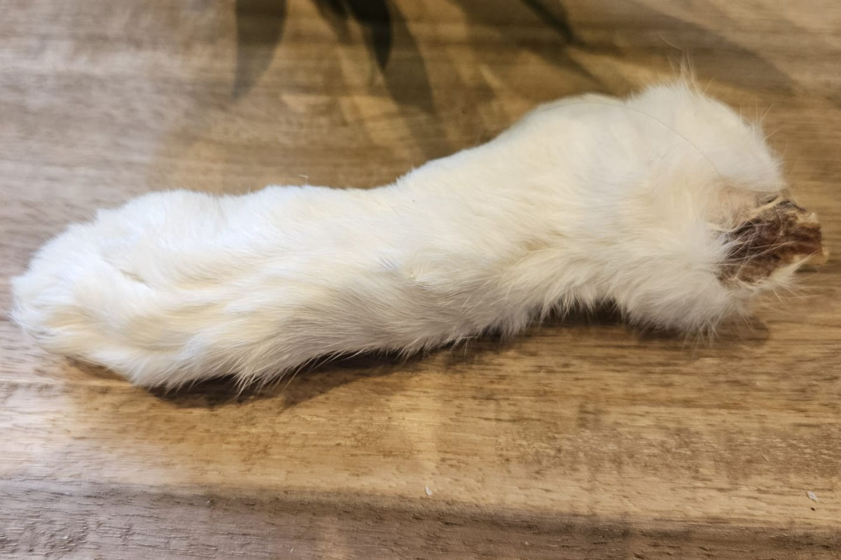 rabbit feet for dogs, natural dog chews, hypoallergenic dog treats, low fat dog chews, dental chews for dogs, grain free dog treats, novel protein dog chews