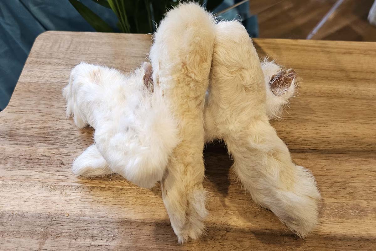 rabbit feet for dogs, natural dog chews, hypoallergenic dog treats, low fat dog chews, dental chews for dogs, grain free dog treats, novel protein dog chews