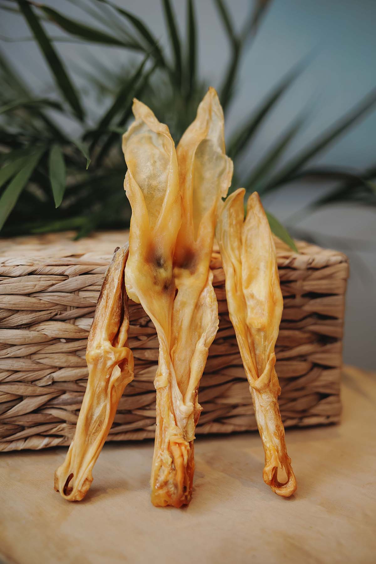 rabbit ears dog treats, grain free dog chews, hypoallergenic treats, Hairless Rabbit Ears